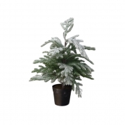 ЕЛХА В САКСИЯ ПВЦ ЗАСНЕЖЕНА Н38см