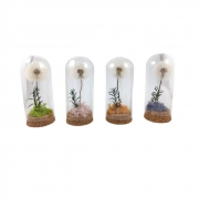 СУВЕНИР ГЛУХАРЧЕ В СТЪКЛЕНИЦА 12*5,5см DT83948