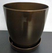 САКСИЯ ФЛОРА ГЛАНЦ Ф17СМ КАФЯВА /7738/