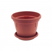 САКСИЯ ГЕРБЕР Ф25см КЕРЕМИДА 