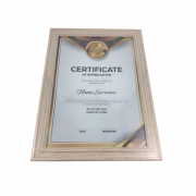 Смарт гривна